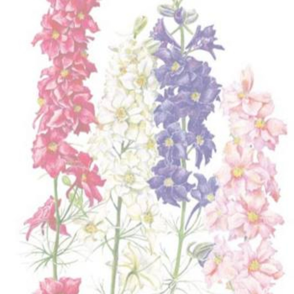 Please like to bookmark my boutique!